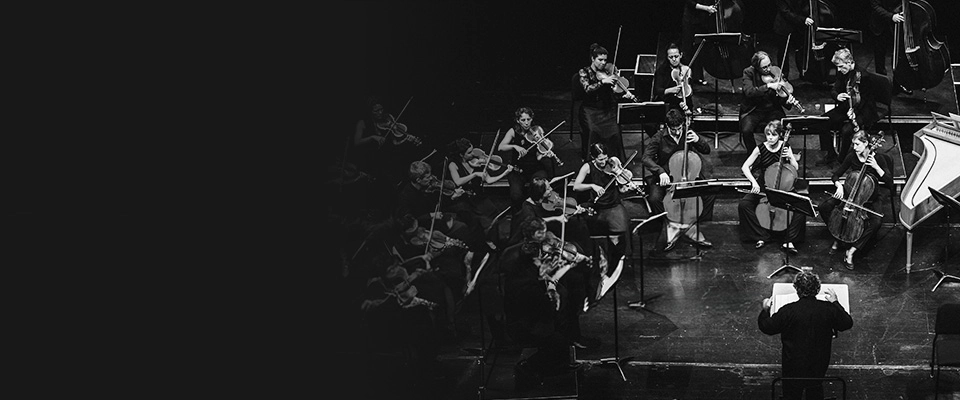 Orchestra