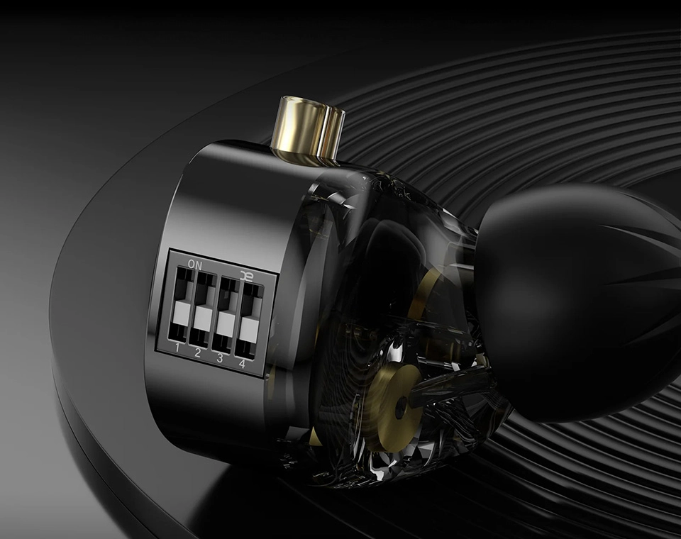 KZ Duonic tuning version on vinyl record